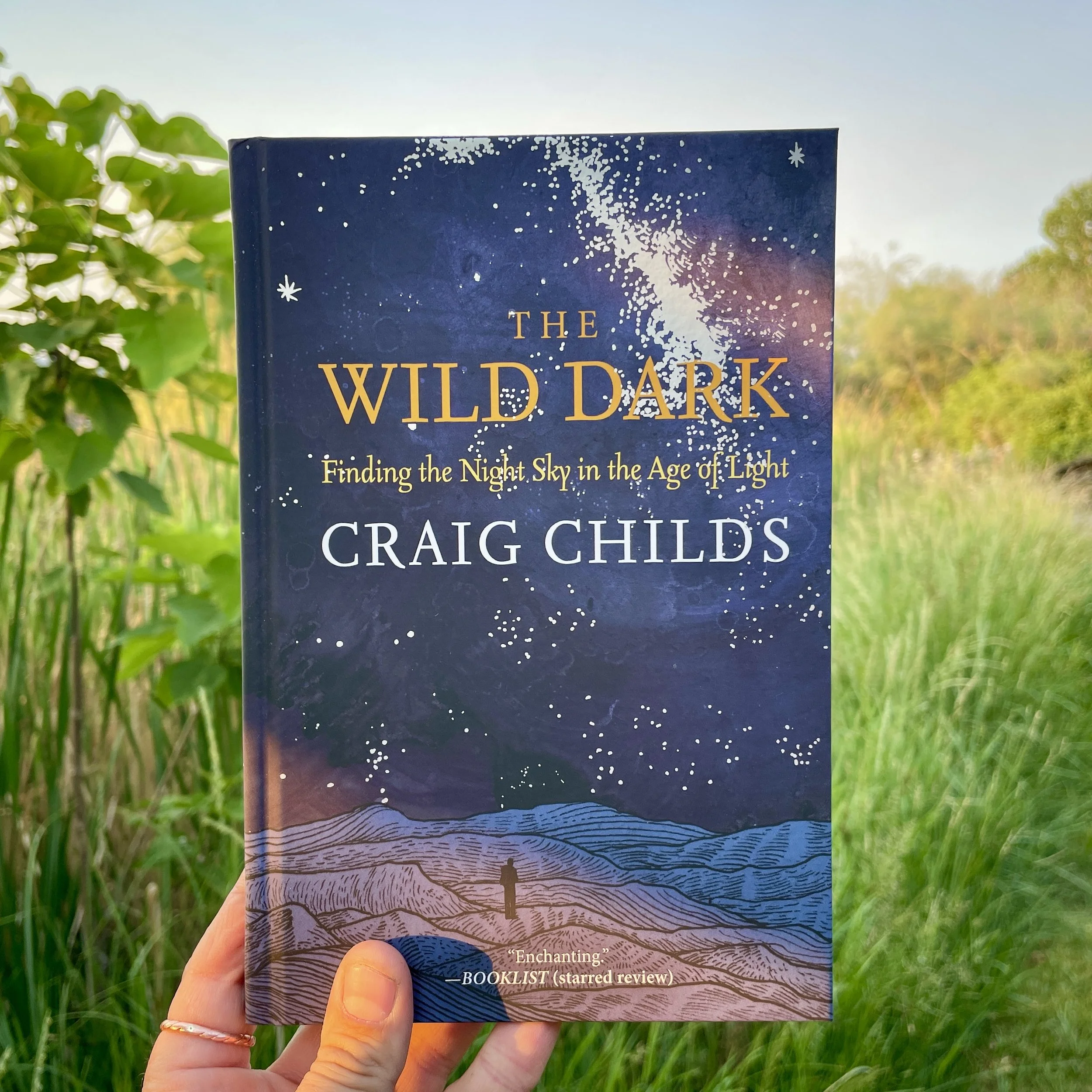 The Wild Dark: Finding the Night Sky in the Age of Light — Hell's